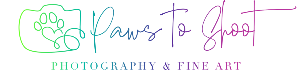 Paws to Shoot logo in bright colors