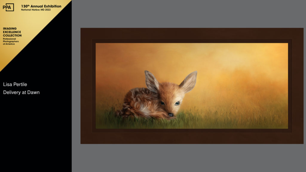 Scored a perfect 100 and was awarded "Best Baby Animal Image" and a Judges Choice Award at the Animal Image Makers Print Competiton-April 2021.

